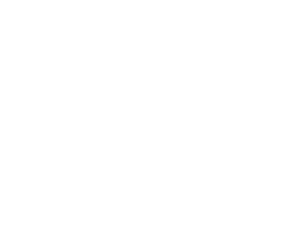 Bulls Poker
